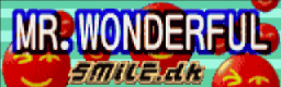 MR. WONDERFUL banner