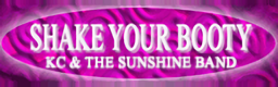 SHAKE YOUR BOOTY banner