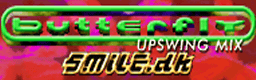 butterfly (UPSWING MIX) banner