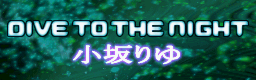 DIVE TO THE NIGHT banner