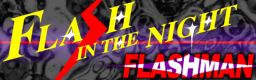 FLASH IN THE NIGHT banner
