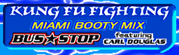 KUNG FU FIGHTING (MIAMI BOOTY MIX) banner