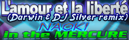 L'amour et la liberte(Darwin & DJ Silver remix) banner