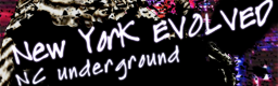 New York EVOLVED (Type A) banner